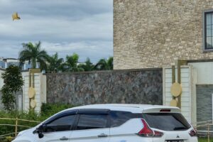 20230107_170259 20230107_170259